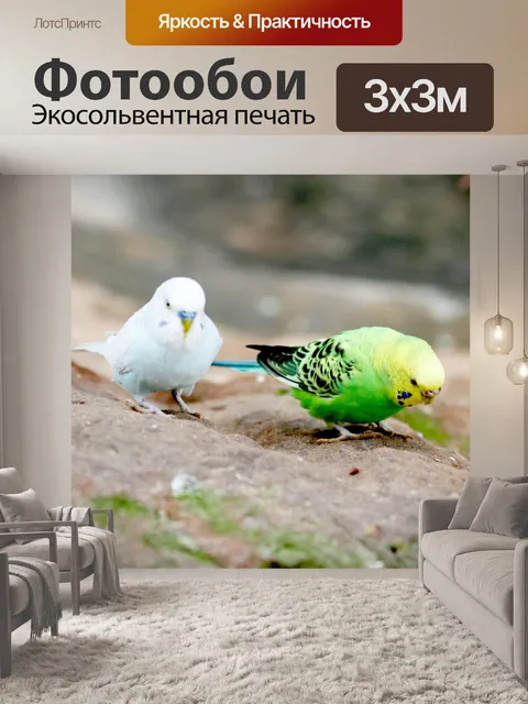 Фотообои Птицы на прогулку