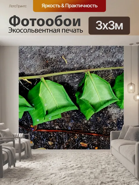 Фотообои Строка листьев ярко-зеленая