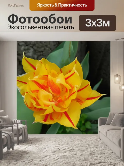 Фотообои Природа
