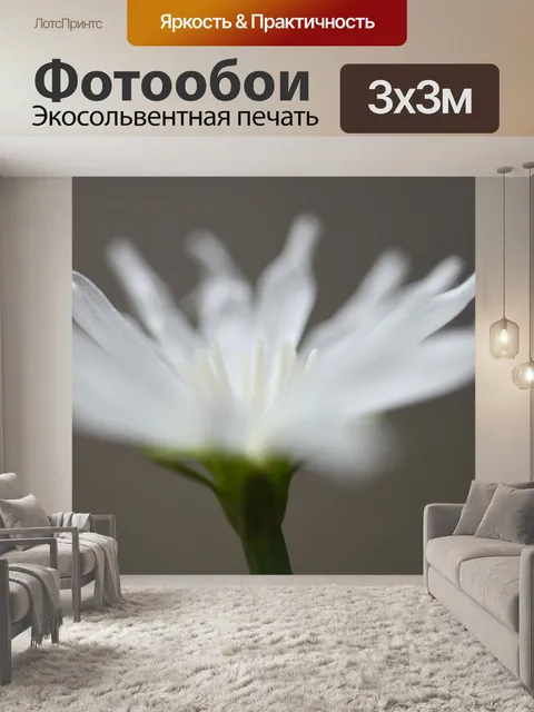Фотообои Цикорий
