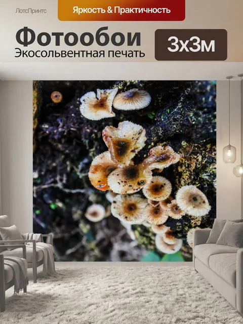 Фотообои Лесные грибы