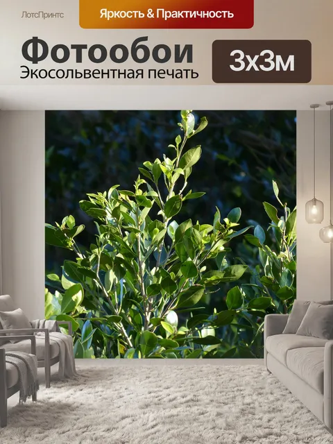 Фотообои Листья
