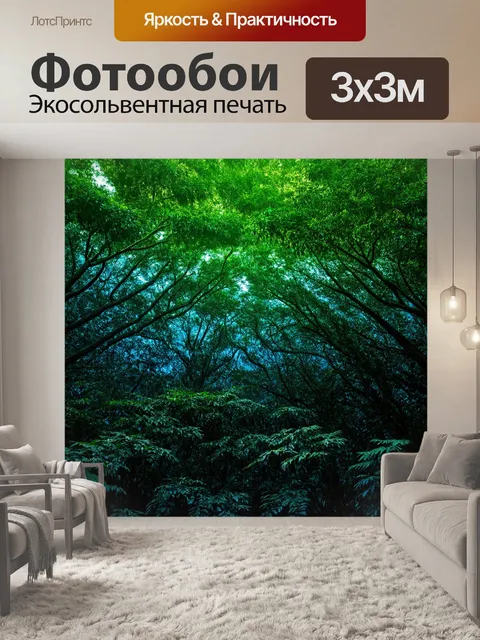 Фотообои градиент тропического леса