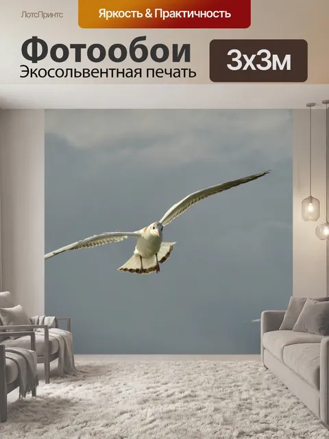 Фотообои Птица