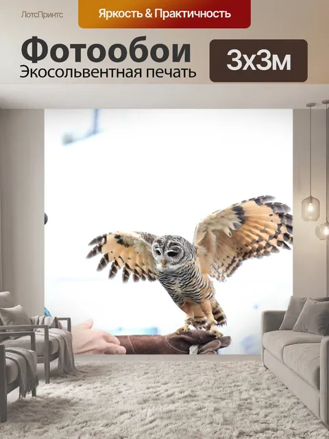 Фотообои Сова