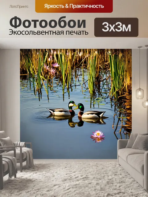 Фотообои пара уток, мирно плавающих по спокойному озеру, окружённому зелеными камышами и уютными водорослями