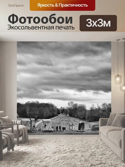Фотообои Монохромный