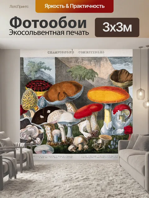 Фотообои Винтажная иллюстрация чемпиона грибов