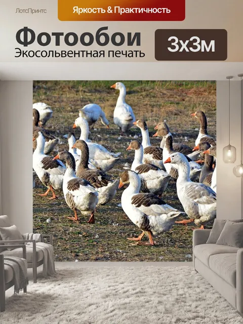 Фотообои Гуси