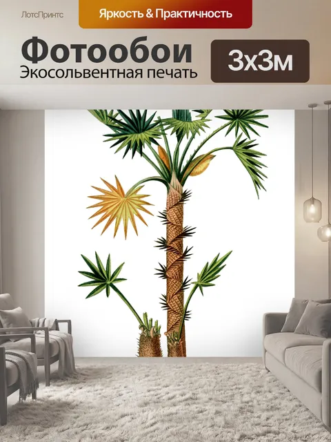Фотообои Пальма Винтаж Иллюстрация