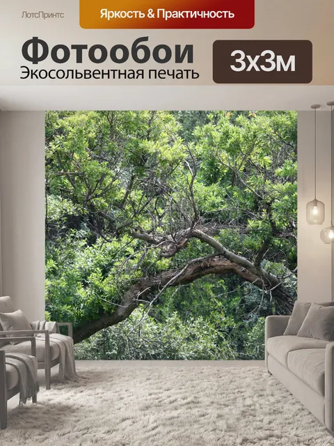 Фотообои толстые ветви и листва