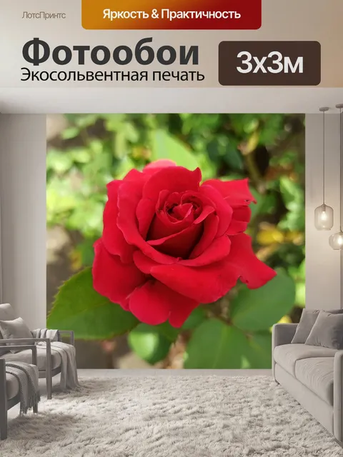 Фотообои Розы