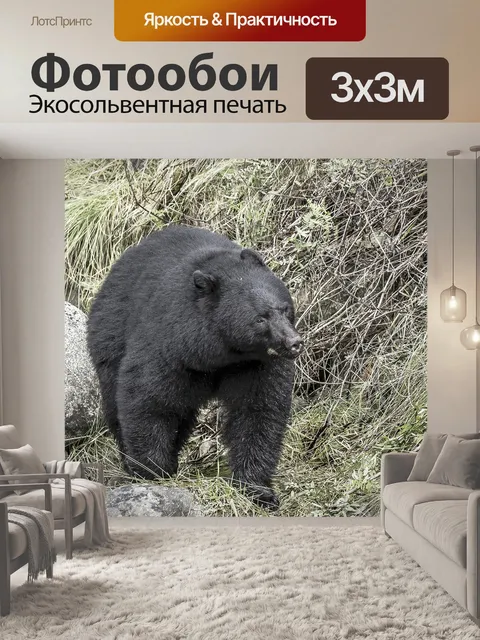 Фотообои Дикая природа