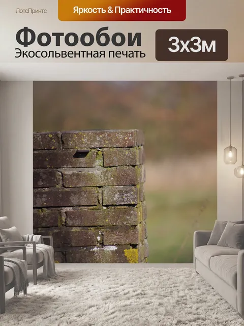 Фотообои Стена