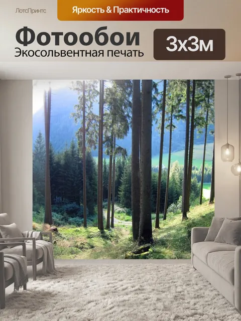 Фотообои Лес