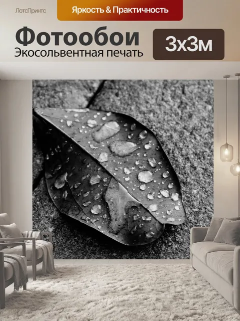Фотообои Лист