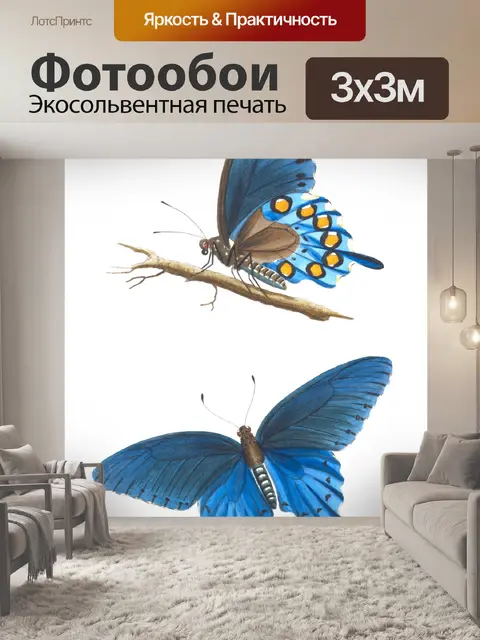Фотообои Butterfly Vintage Картина Печать
