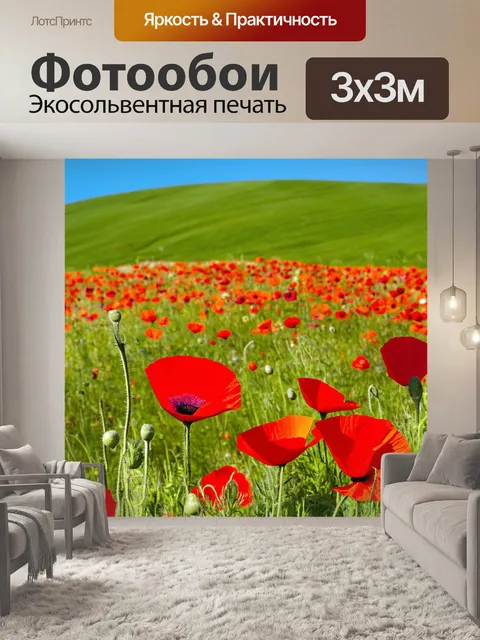 Фотообои яркие маки на фоне зелёного холма