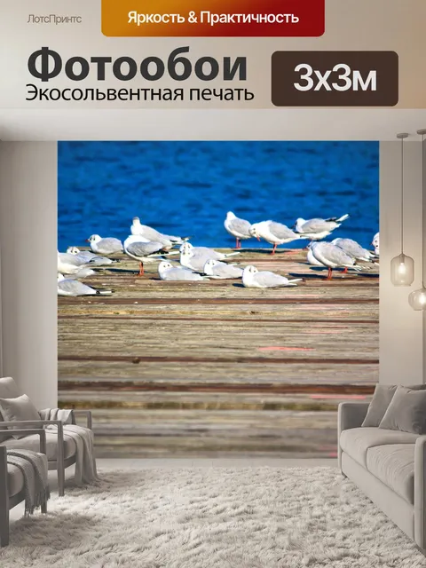 Фотообои Чайка
