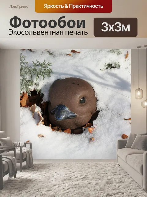 Фотообои Птица, покрытая снегом