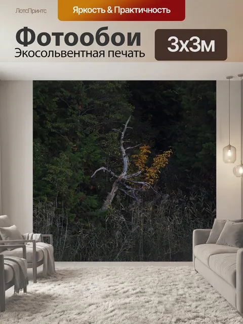 Фотообои Дерево