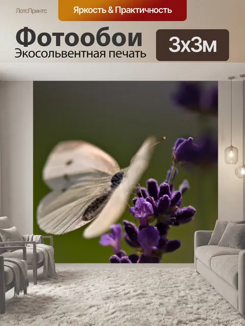 Фотообои Поле