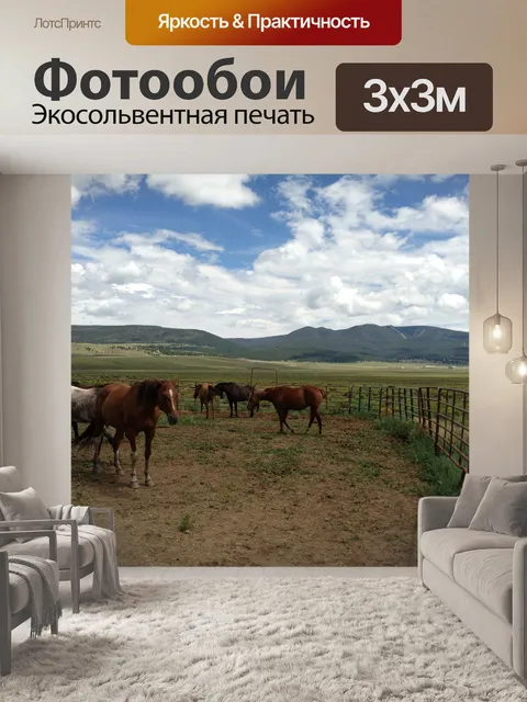 Фотообои Лошади