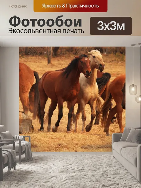 Фотообои лошади играют вокруг корыта