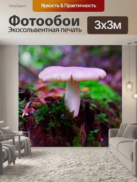 Фотообои Гриб