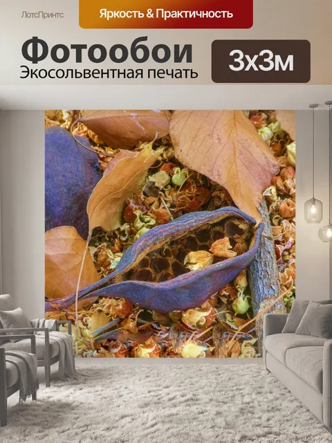 Фотообои Seed Pod