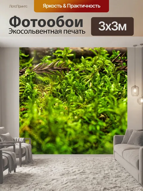 Фотообои Трава