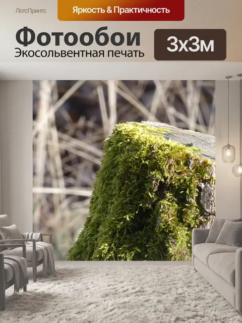 Фотообои Мох
