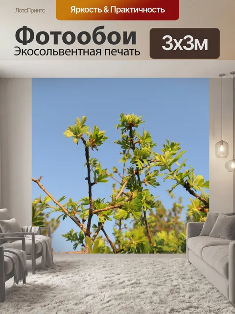 Фотообои Дерево