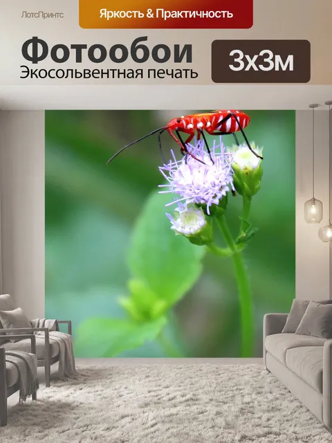 Фотообои Насекомое