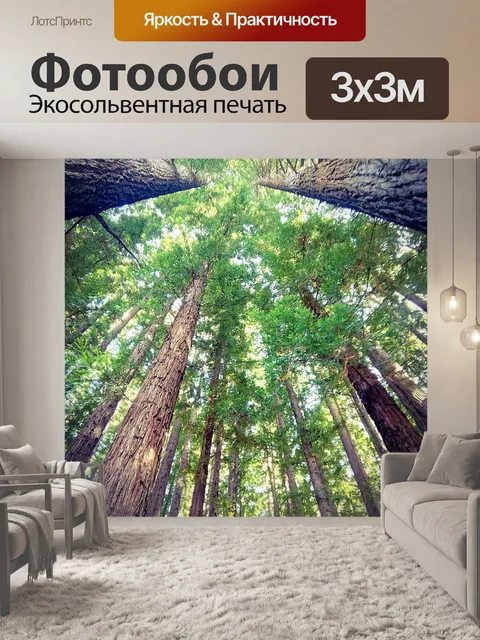 Фотообои Деревья