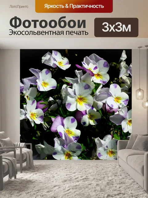 Фотообои Анютины глазки