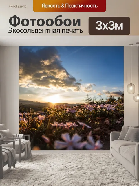 Фотообои Луг
