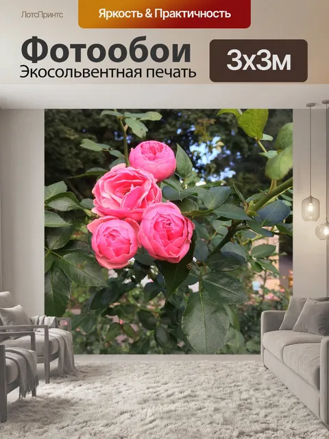 Фотообои Розы