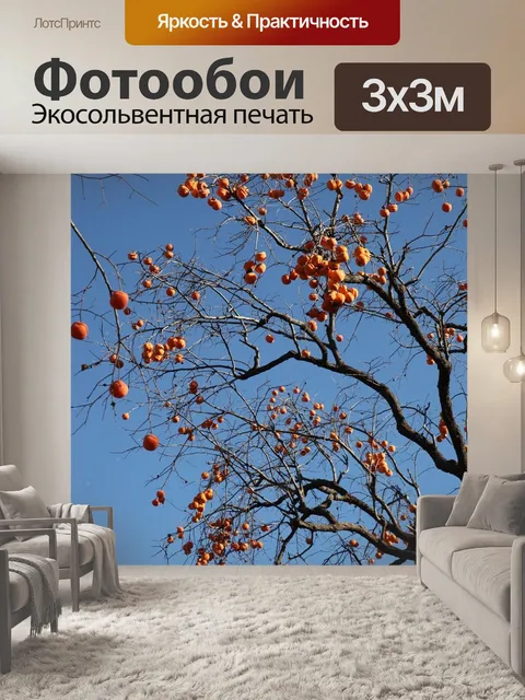 Фотообои Хурма
