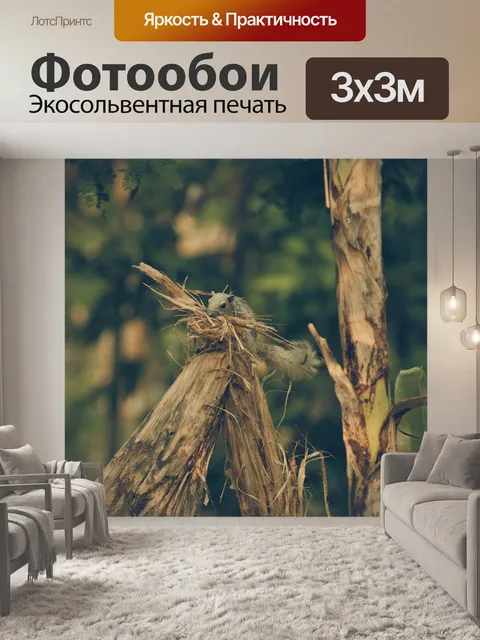 Фотообои Белка