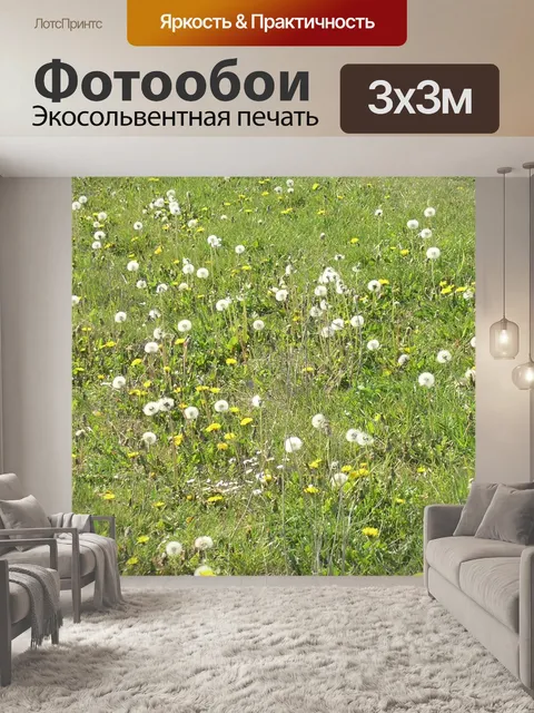 Фотообои Одуванчики