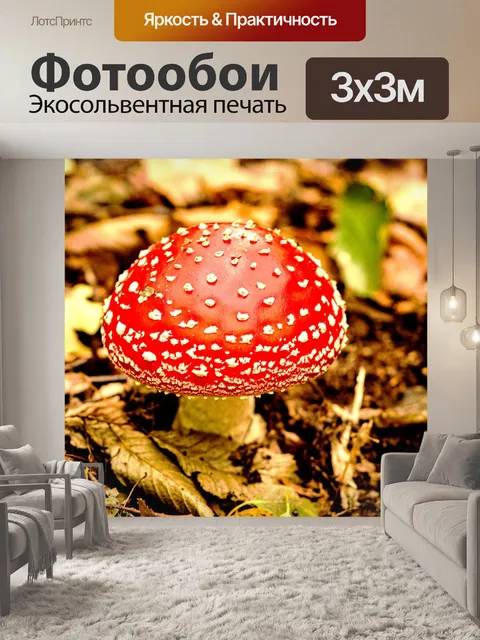 Фотообои Гриб