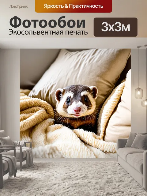 Фотообои хорек, уютно устроившийся среди мягких подушек и пледов, с легким выражением довольства на мордочке