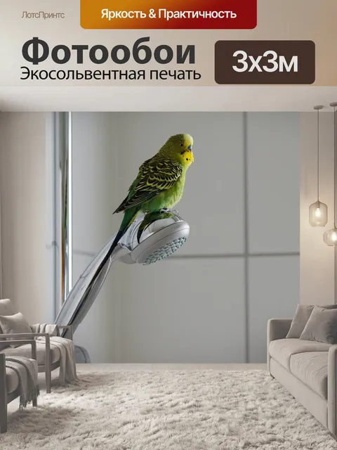 Фотообои Волнистый попугайчик