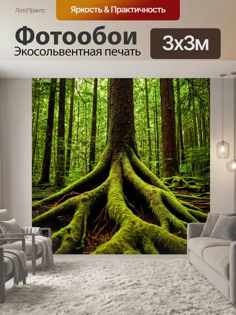 Фотообои лес с высокими деревьями и густым мхом на корнях