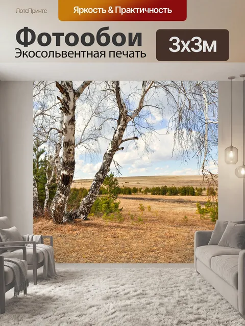 Фотообои Березы