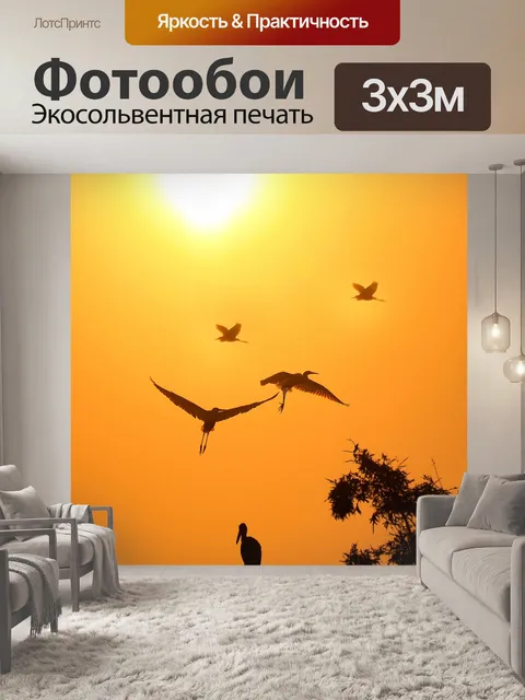 Фотообои Закат днем