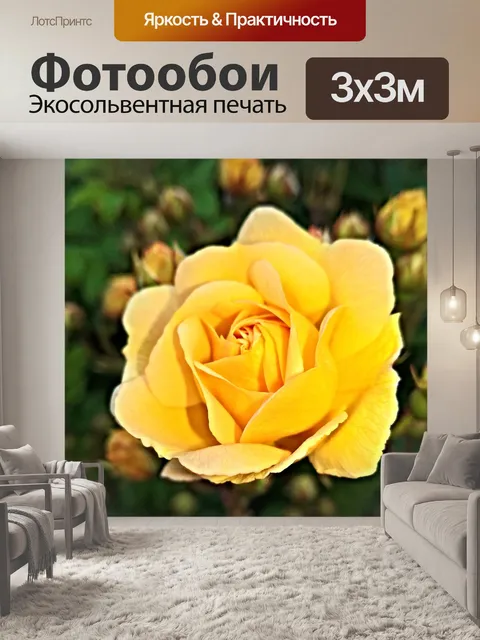 Фотообои Цветок