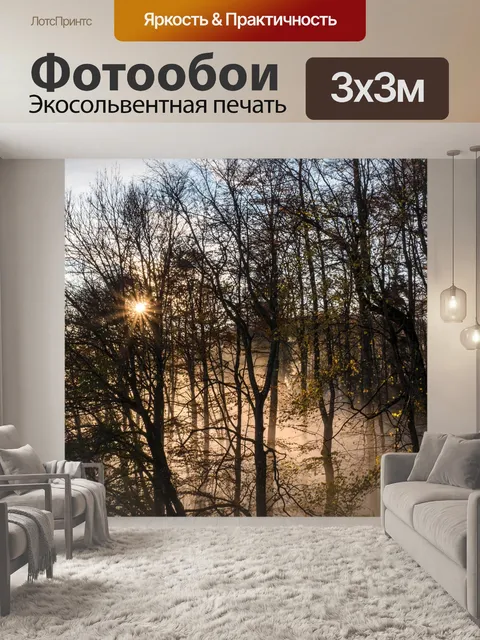 Фотообои Туман