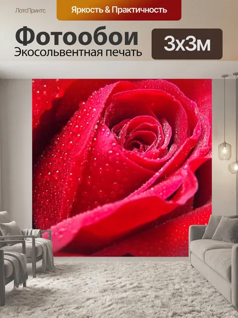 Фотообои Роза